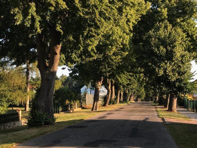 Вілла Siesta Country Свебодзін Екстер'єр фото